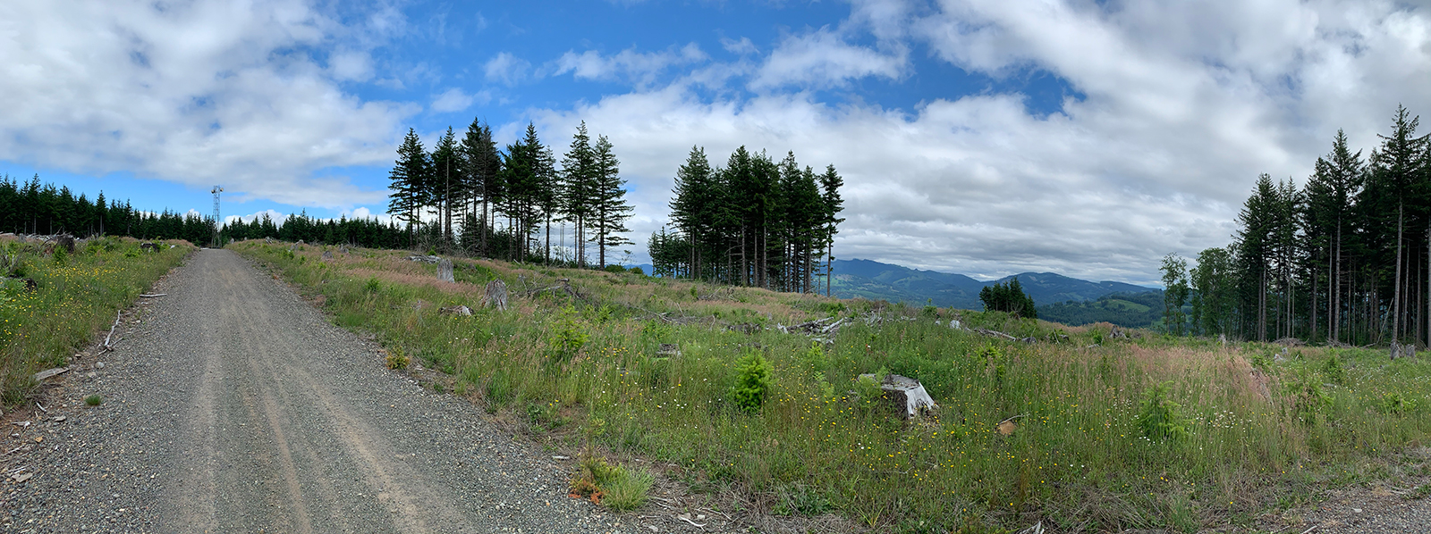 panoramic photo of Bells Mountain summit