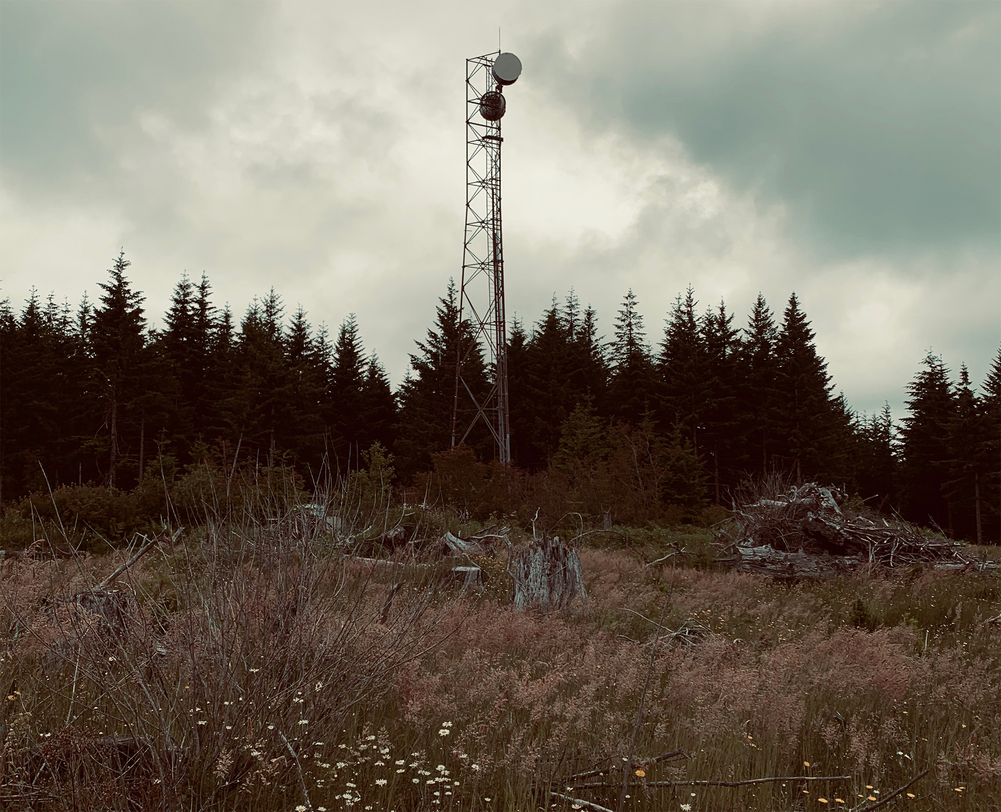 the radio tower that is on Bells Mountain